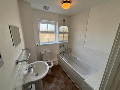 Picture 15